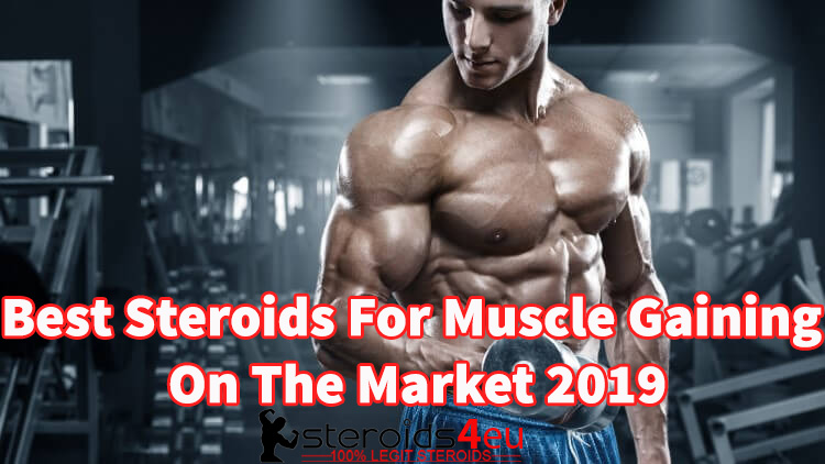 best steroids for muscle gaining on the market 2019